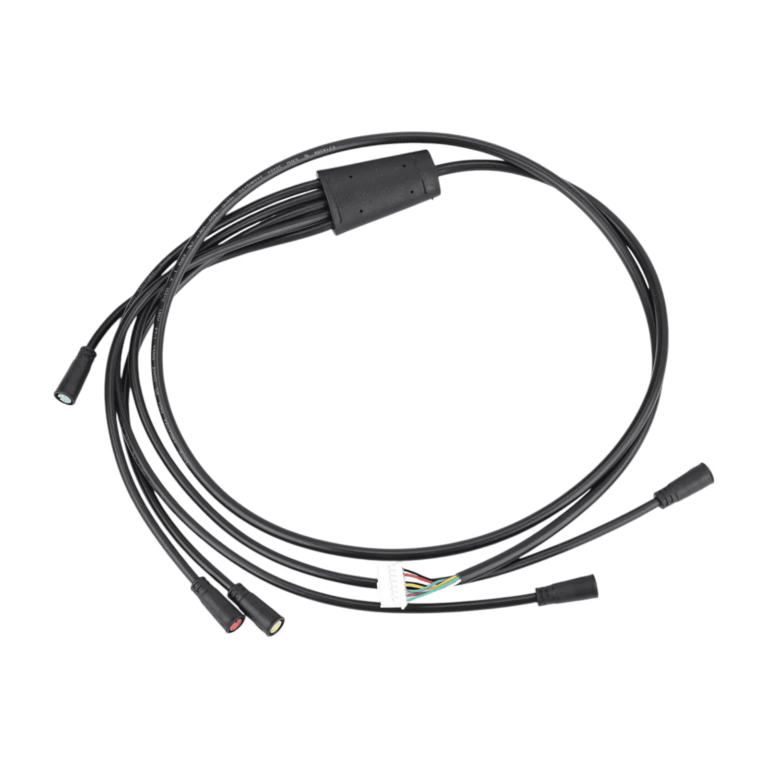 c67202b4-595b-4d42-95e5-80993655f6bc