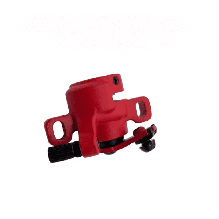 4-Photoroom_cleanup