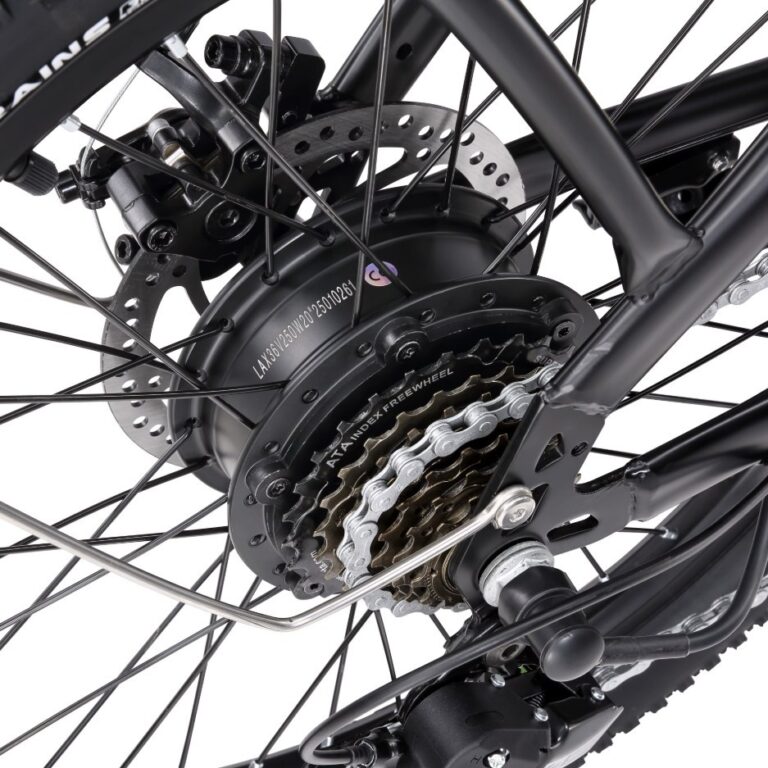 Vélo électrique SINOHON C20