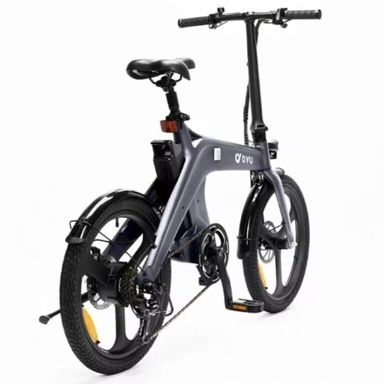 DYU T1 (1)