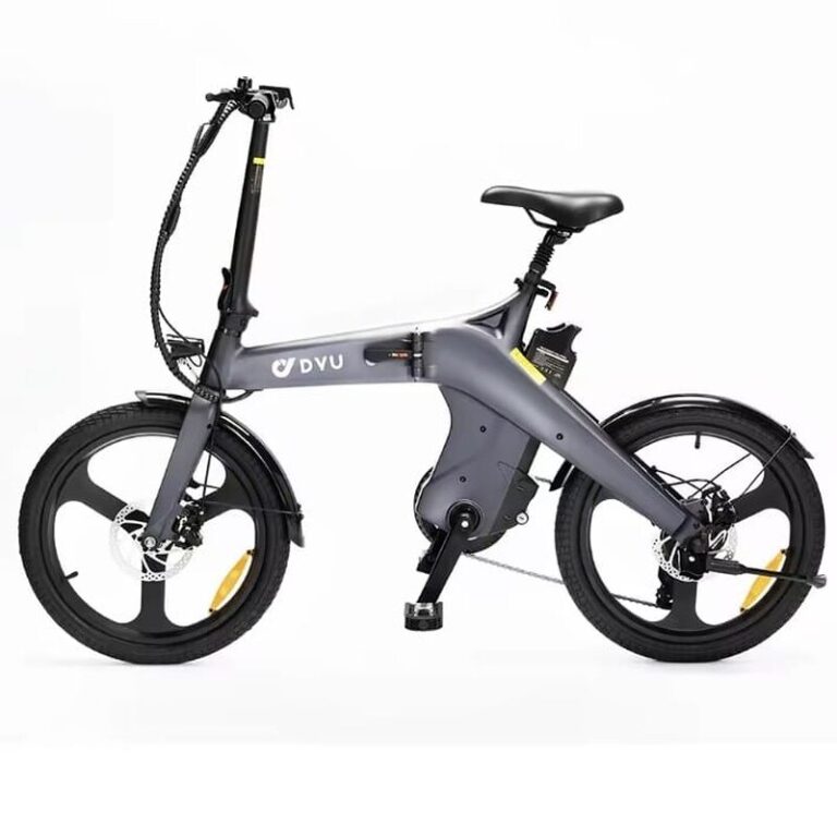DYU T1 (2)