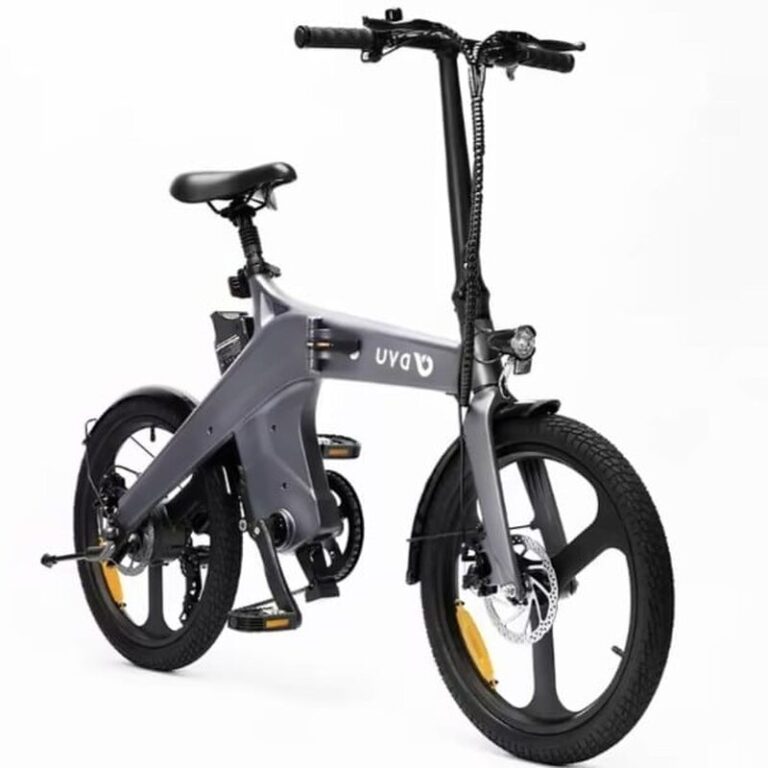 DYU T1 (3)