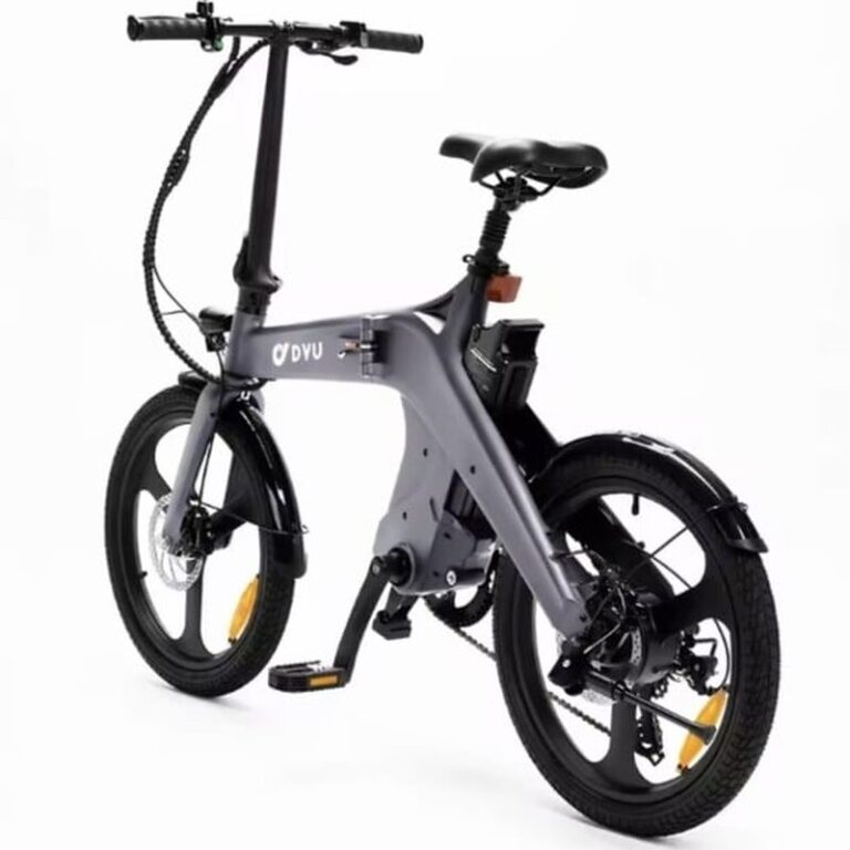 DYU T1 (4)