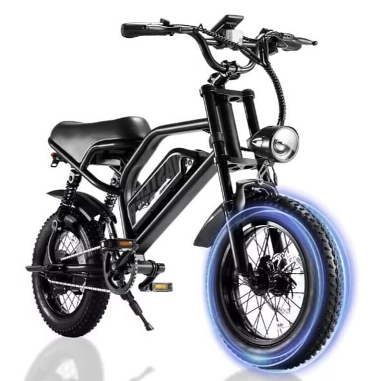 Vélo électrique AVDLEU A13 (1)