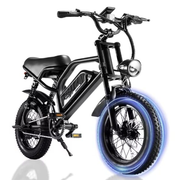 Vélo électrique AVDLEU A13 (1)