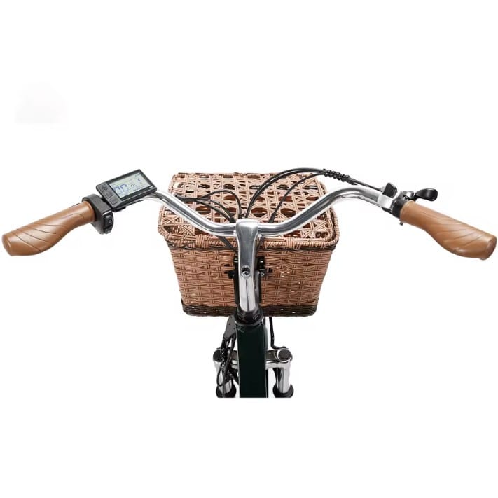 Vélo électrique Cysum Cityrun 26 (4)