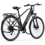 Vélo électrique DUOTTS C29 Lite (1)