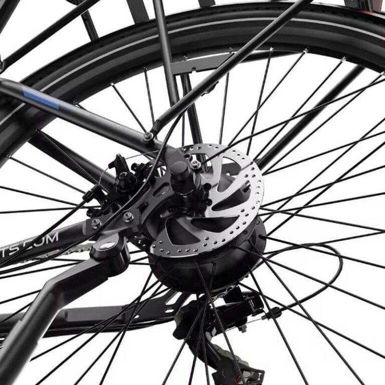 Vélo électrique DUOTTS C29 Lite (4)