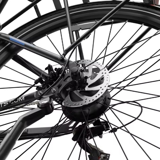 Vélo électrique DUOTTS C29 Lite (4)