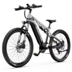 Vélo électrique DUOTTS E29 (1)