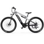 Vélo électrique DUOTTS E29 (3)