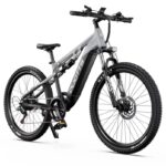 Vélo électrique DUOTTS E29 (5)