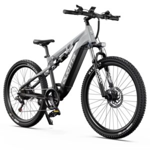 Vélo électrique DUOTTS E29