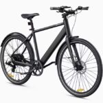 Vélo électrique DYU Stroll 1 (3)