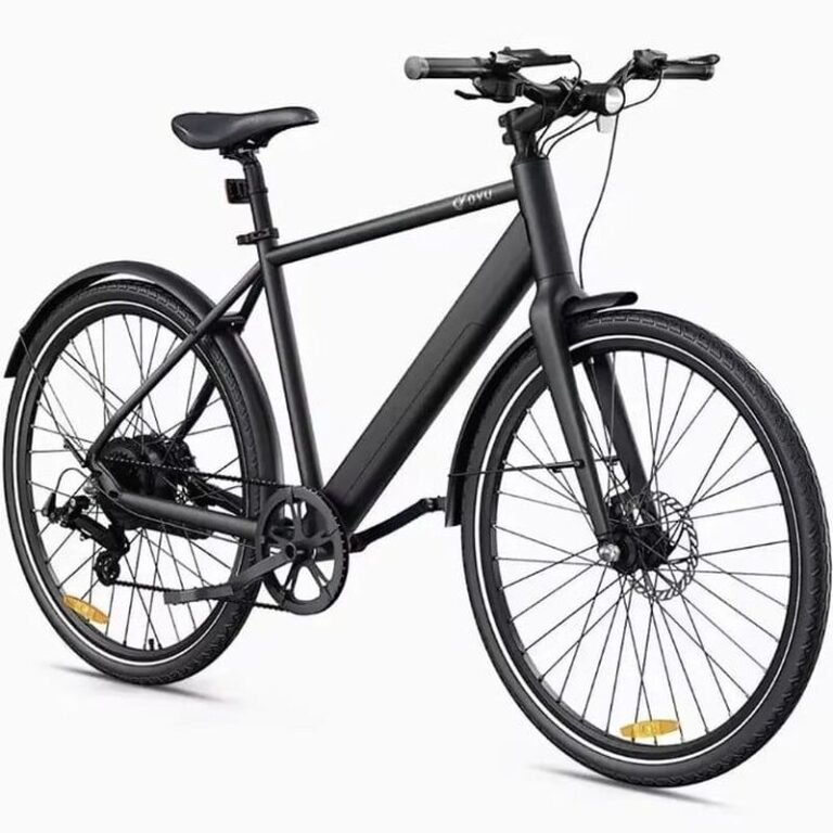 Vélo électrique DYU Stroll 1 (3)