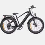 Vélo électrique ENGWE E26 ST (1)