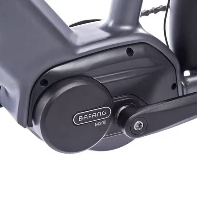 Vélo électrique JOBOBIKE Henry (2)