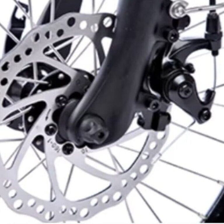 Vélo électrique JOBOBIKE Sam (2)