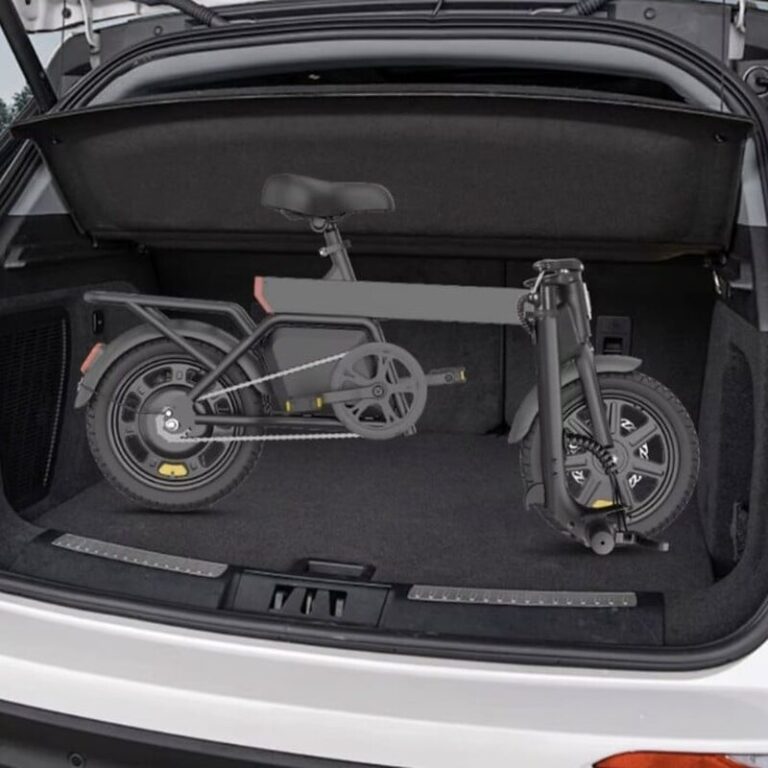 Vélo électrique REGALANGEL B20 mini (1)