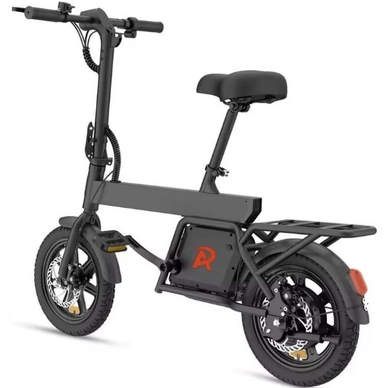Vélo électrique REGALANGEL B20 mini (2)