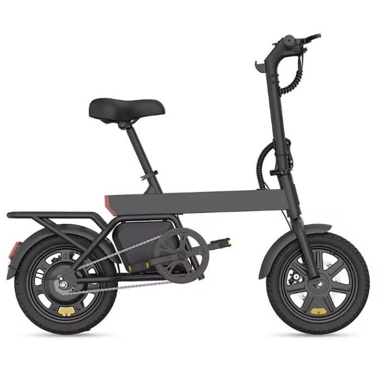 Vélo électrique REGALANGEL B20 mini (3)