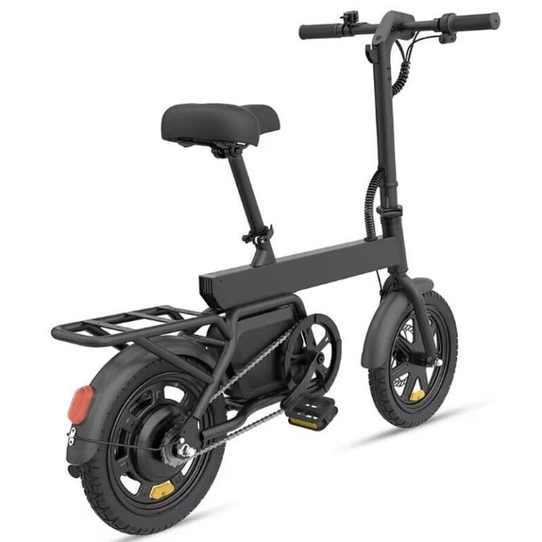 Vélo électrique REGALANGEL B20 mini (4)