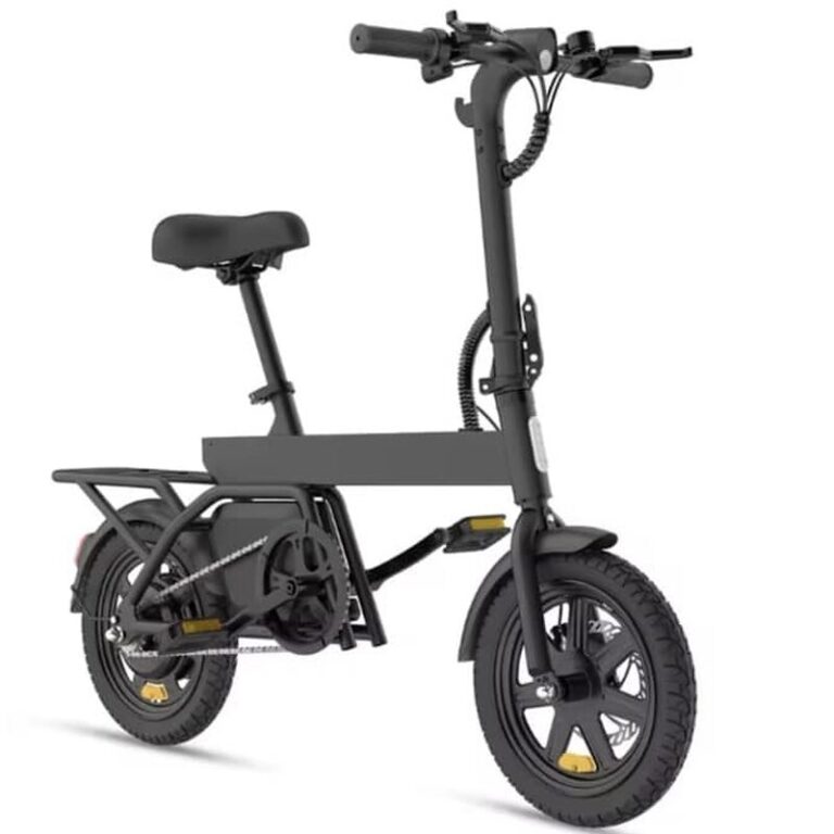 Vélo électrique REGALANGEL B20 mini (5)