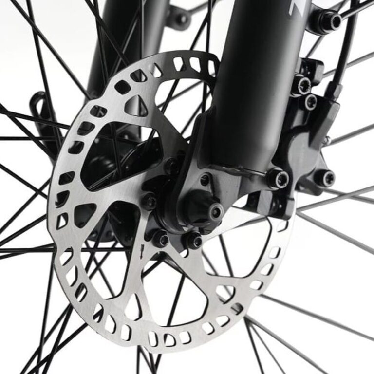 Vélo électrique TTGO C3PRO (7)