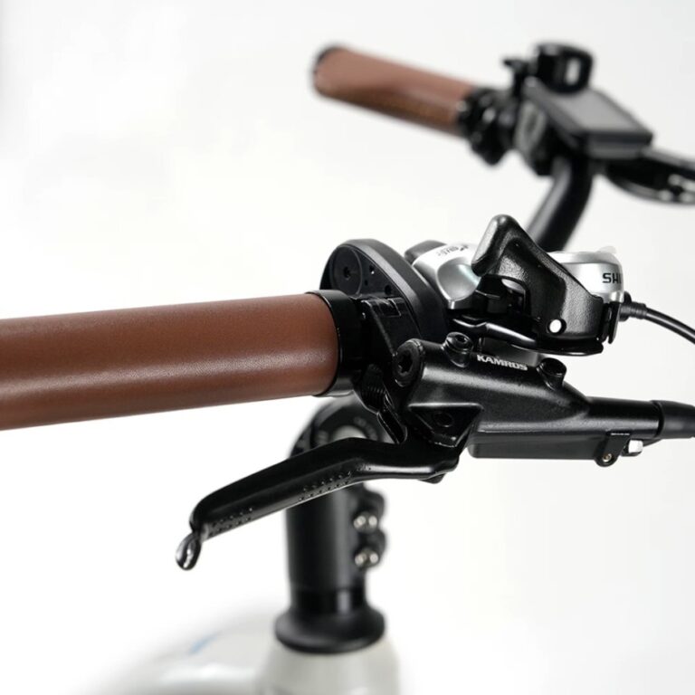 Vélo électrique TTGO C3PRO (9)