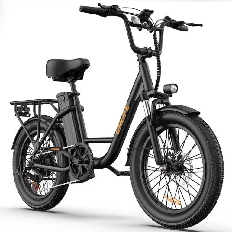 Vélo électrique URLIFE E20 (1)