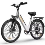 Vélo électrique URLIFE E26 48V 26 250W (1)