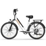 Vélo électrique URLIFE E26 48V 26 250W (2)