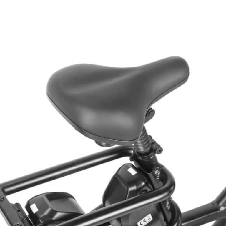 Vélo électrique cargo Fafrees FF20 CUV (6)