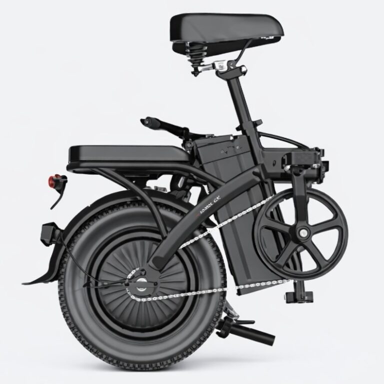 Vélo électrique pliable TOOFLY GS3 (1)